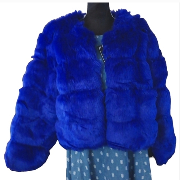 Vibrant Blue Teddy Jacket for Women - Picture 6 of 6